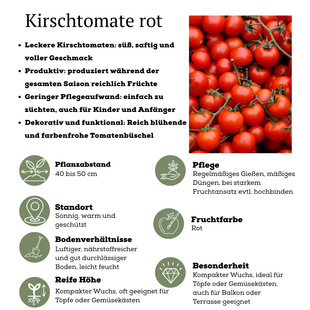 Rød høstgrøntsagsmix – 3 planter: Cherrytomat, rød snackpeber & rød chilipeber – Ø14 cm – Højde 45 cm