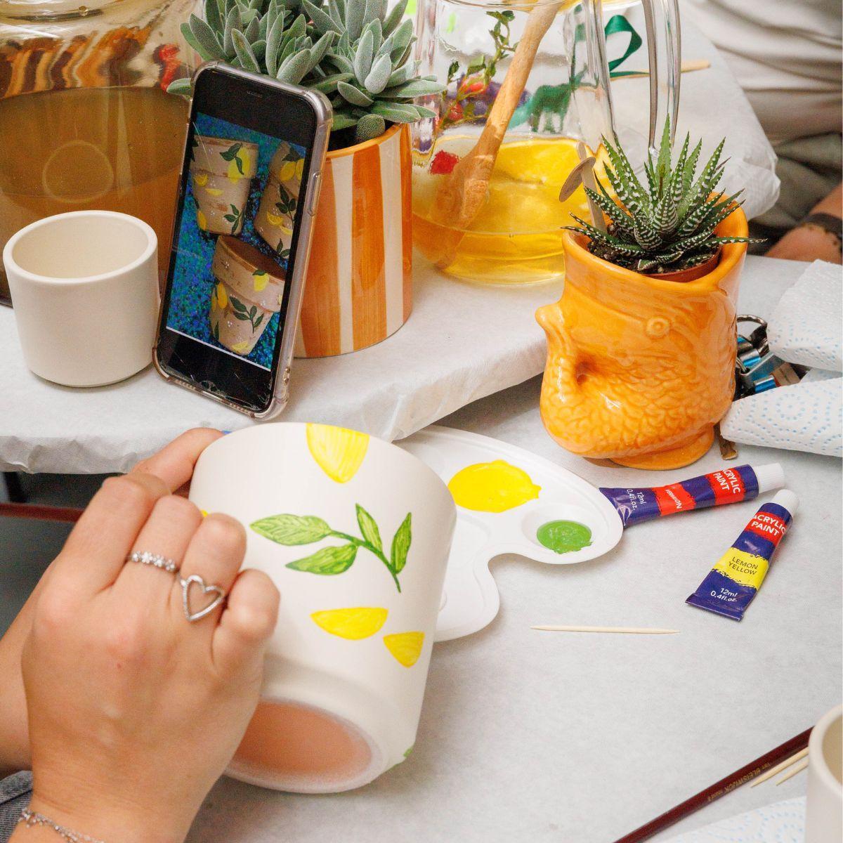 Kolibri Creatives | Malerpakke til maling 4 urtepotter + sukkulenter | til 4 personer | Begyndende kunstner