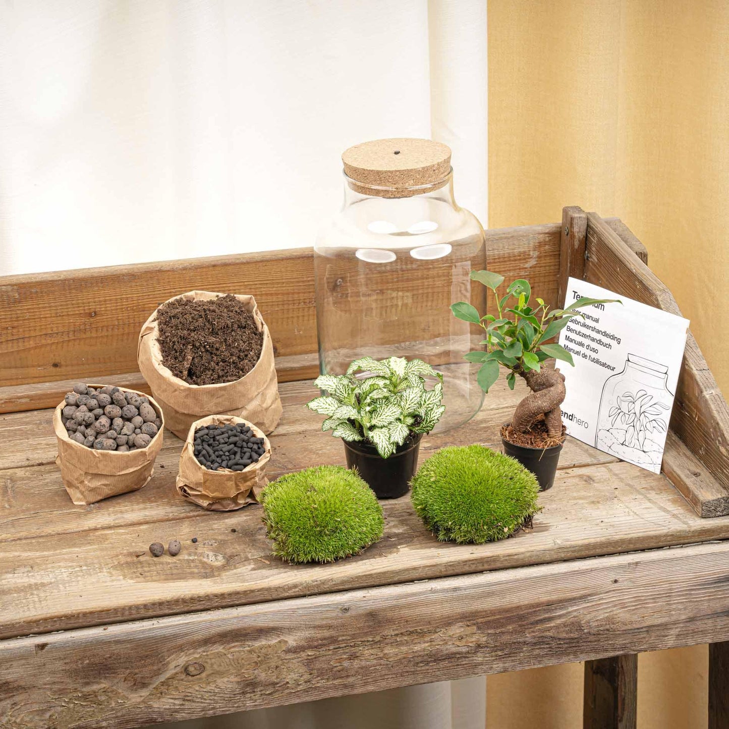 Plante Terrarium Little Milky med LED Lys - 25 cm Høj