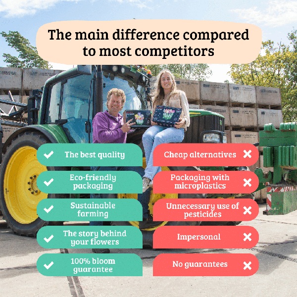 Flowerbulbs Amsterdam - Super Lasting Wild Mix - Sustainable Benefit Bag, 100 lökar för 2,5 m² blomprakt