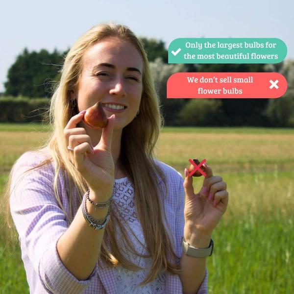 Flowerbulbs Amsterdam - Super Lasting Wild Mix - Sustainable Benefit Bag, 100 lökar för 2,5 m² blomprakt