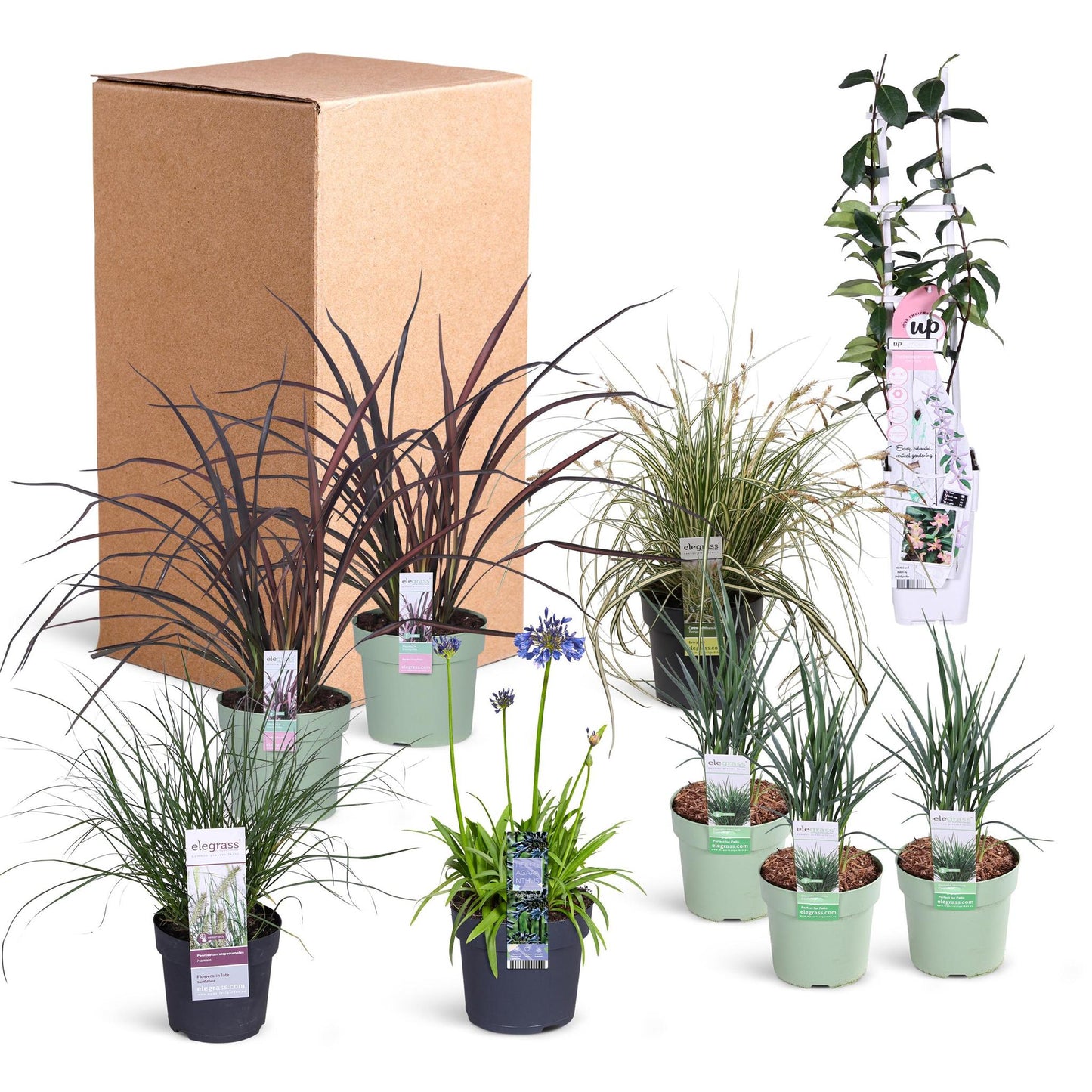 Ibiza trädgård 1m2