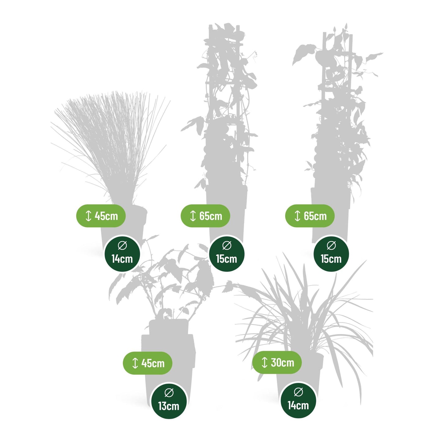 Rustik trädgård 1m2