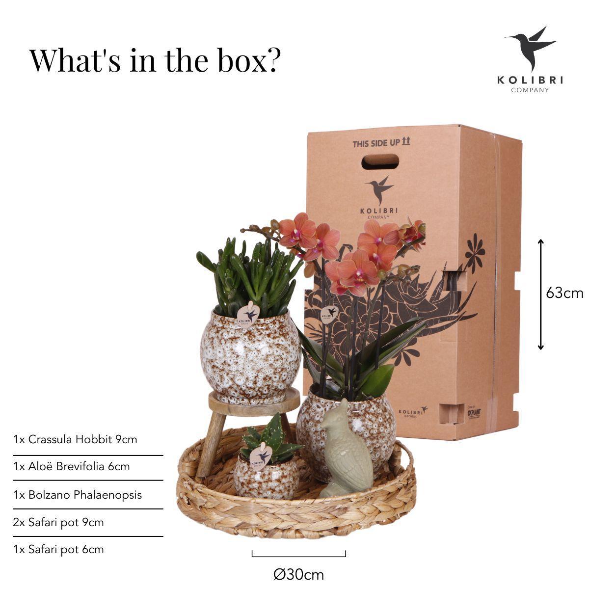 Gift set Untamed nature