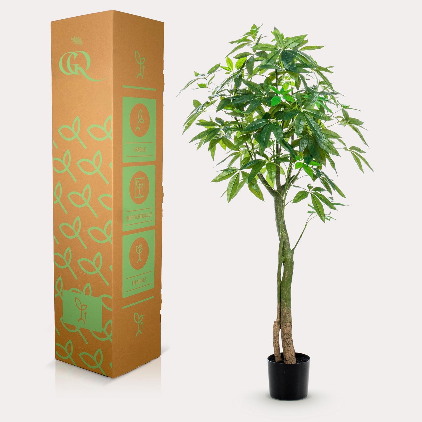 Konstgjord växt - Pachira Aquatica - Pengaträd - 150 cm