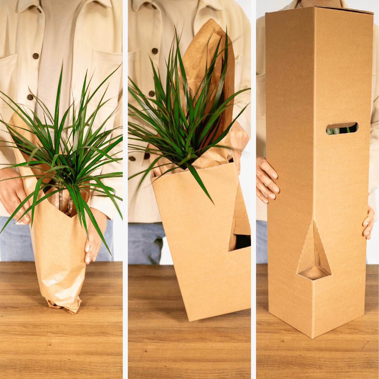 Surprise Box - x5