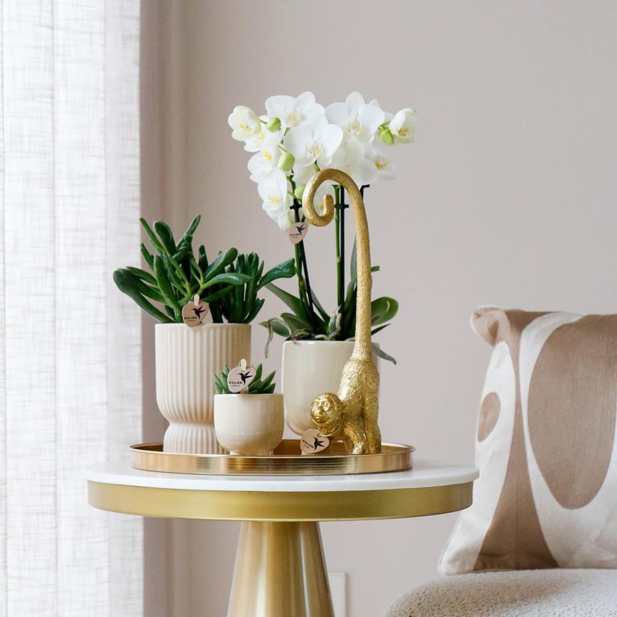 Gift box Luxury Living