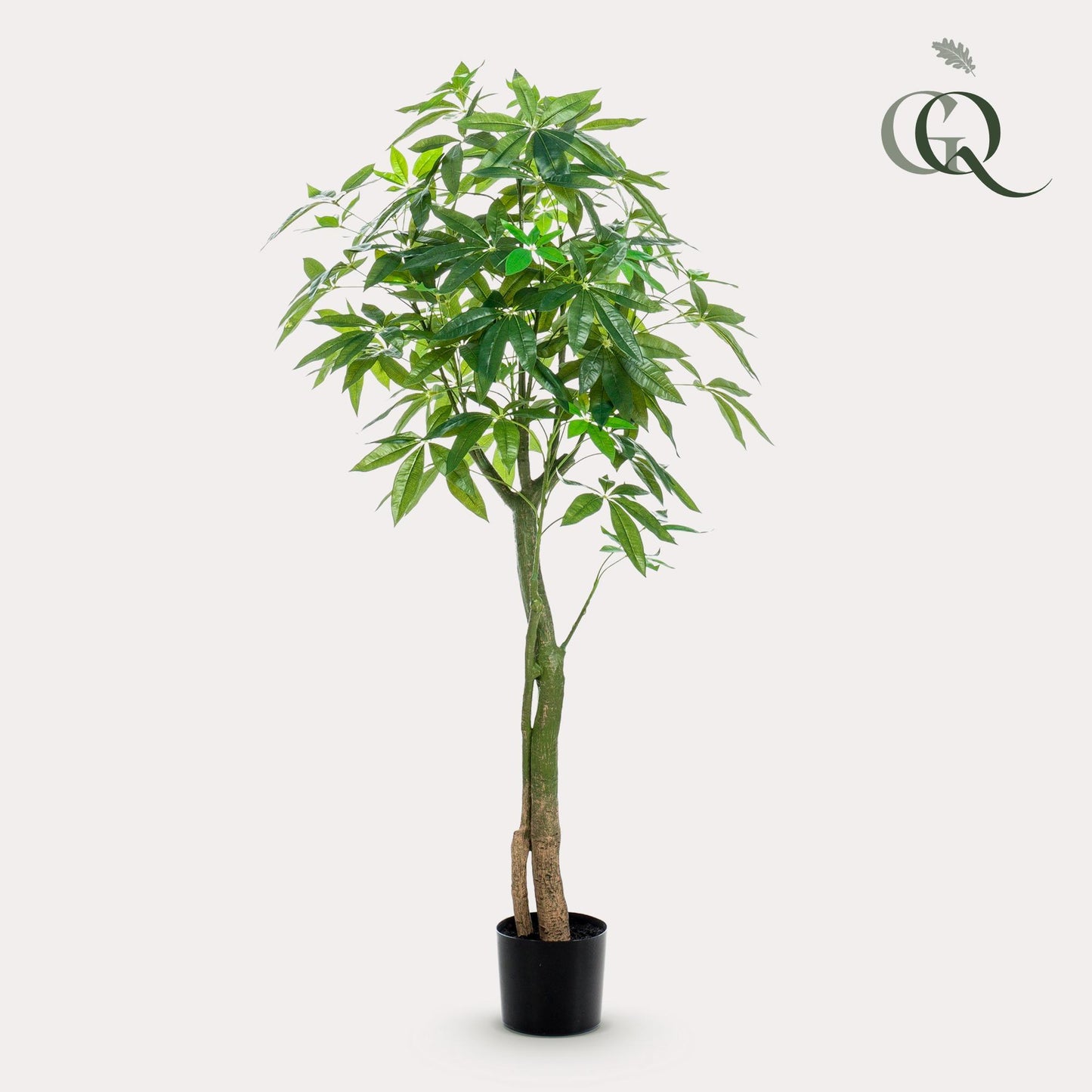 Konstgjord växt - Pachira Aquatica - Pengaträd - 150 cm