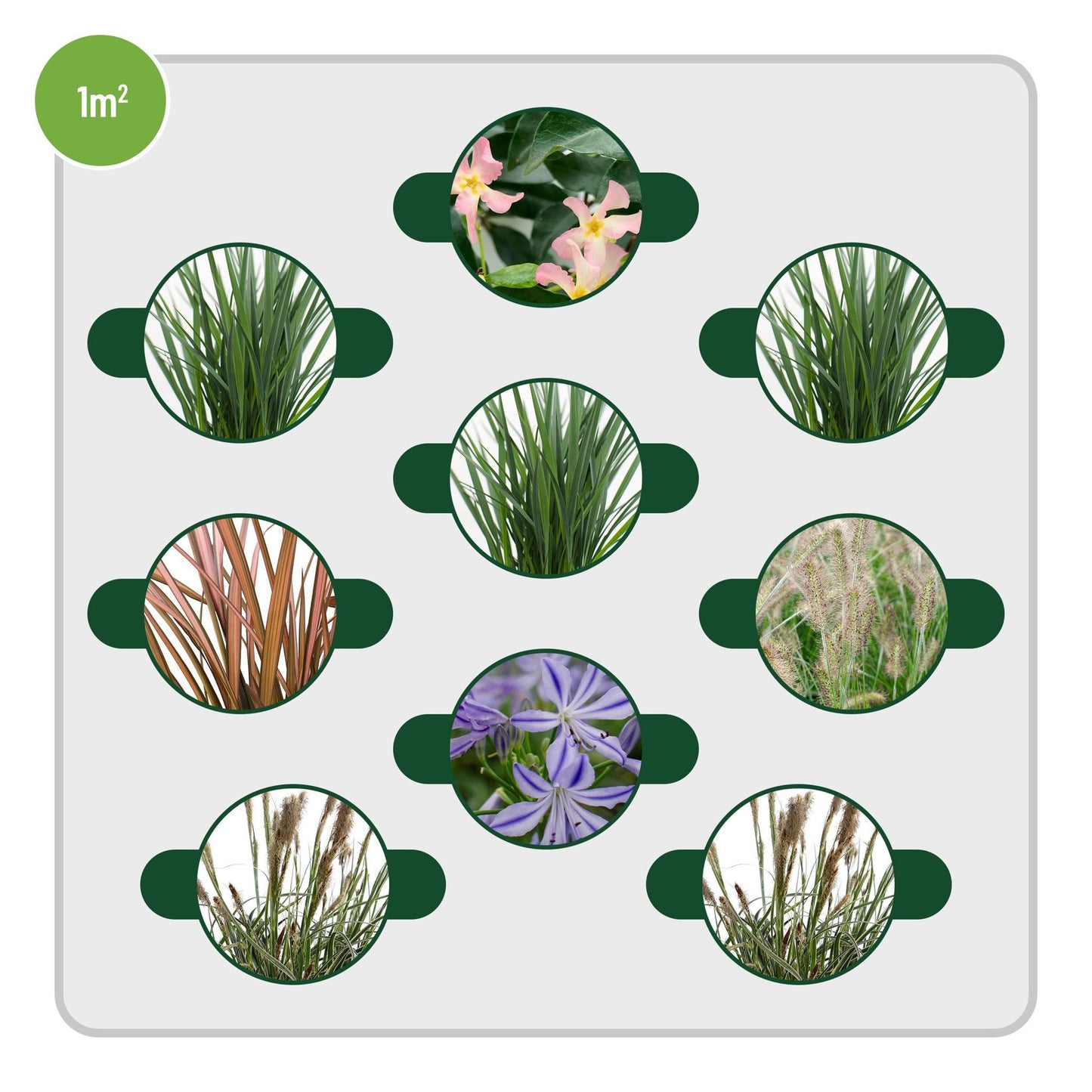 Ibiza trädgård 1m2