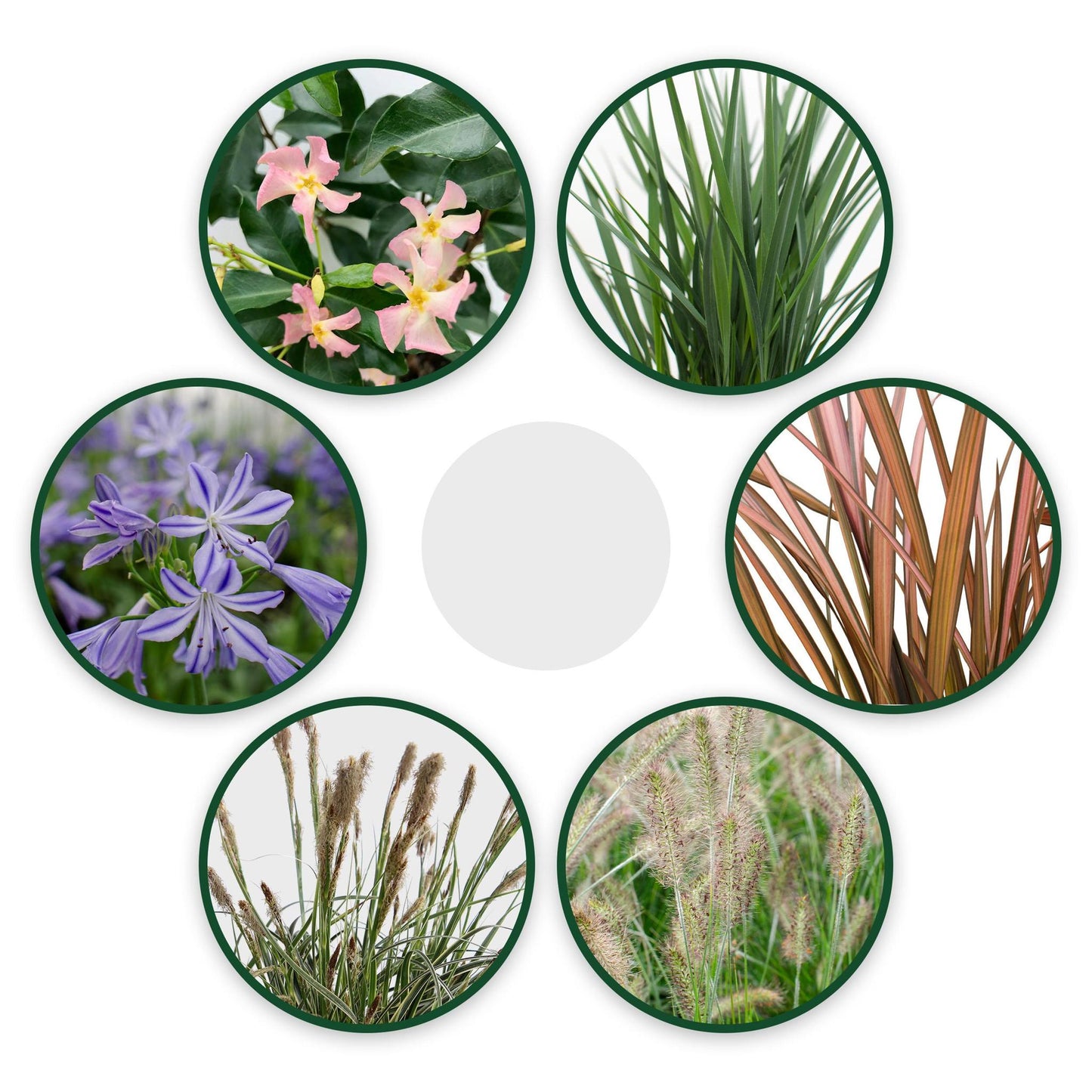 Ibiza trädgård 1m2