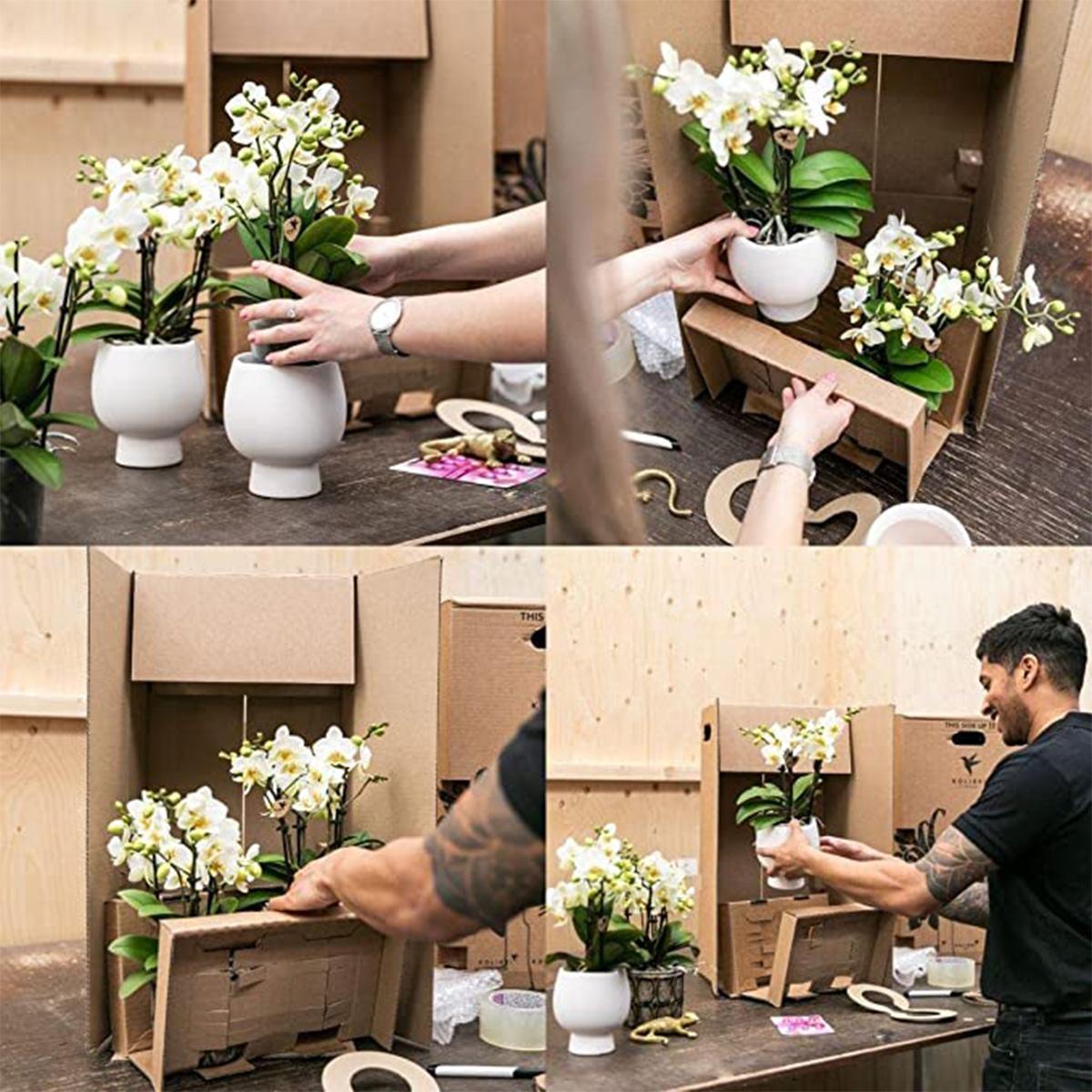 Plantset Uggla dekorativ kruka vit