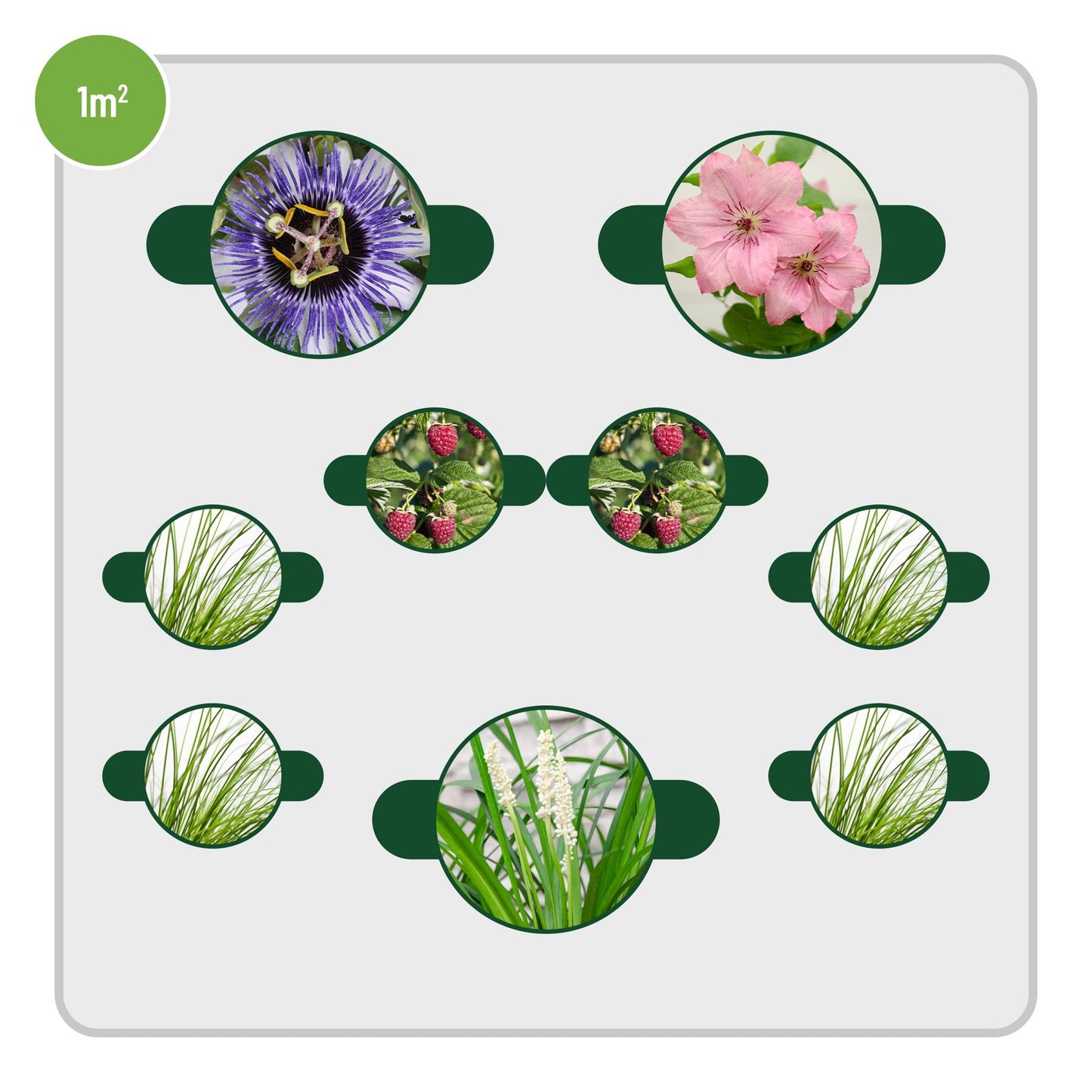 Rustik trädgård 1m2