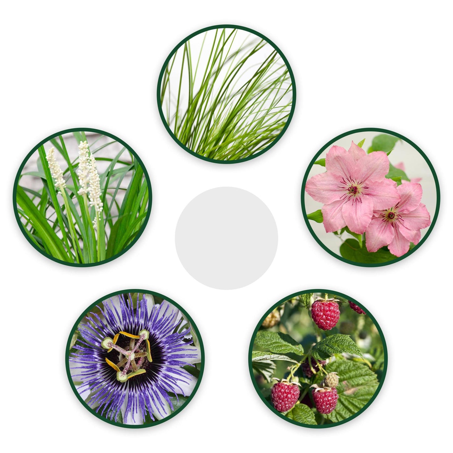 Rustik trädgård 1m2