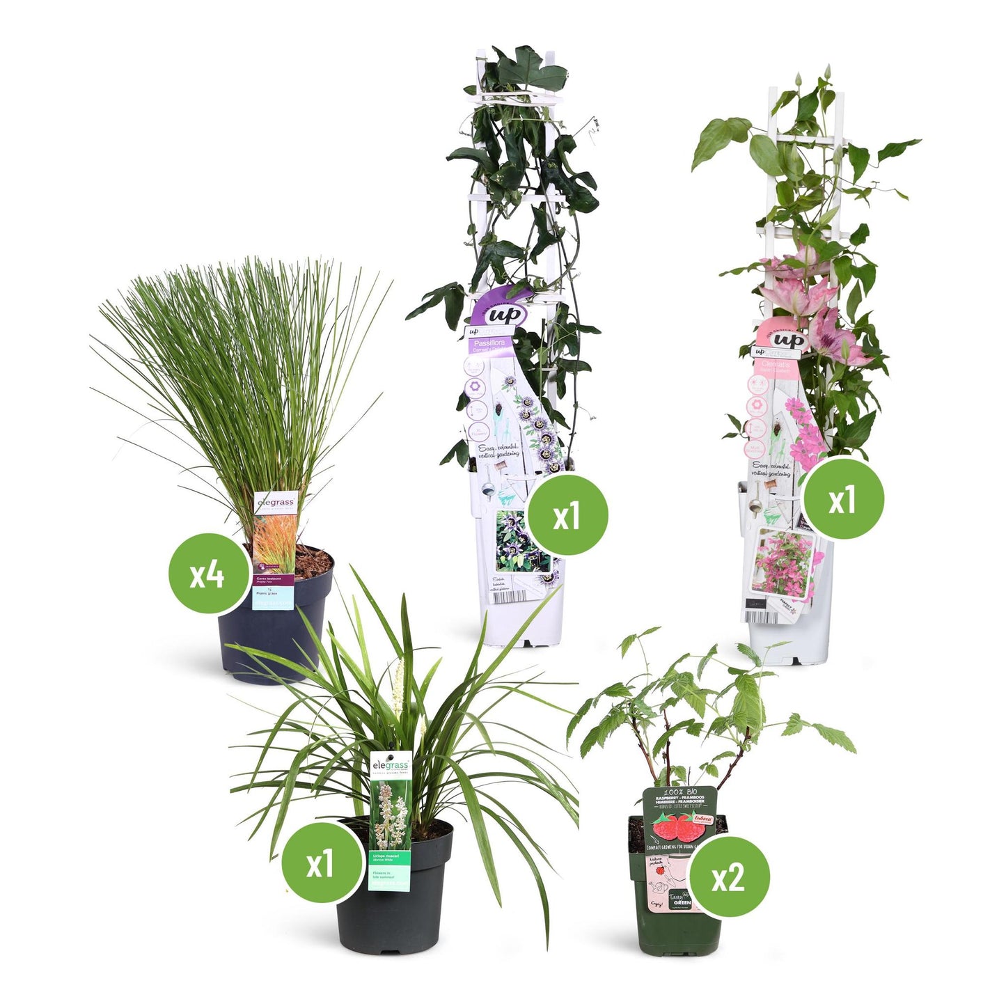 Rustik trädgård 1m2