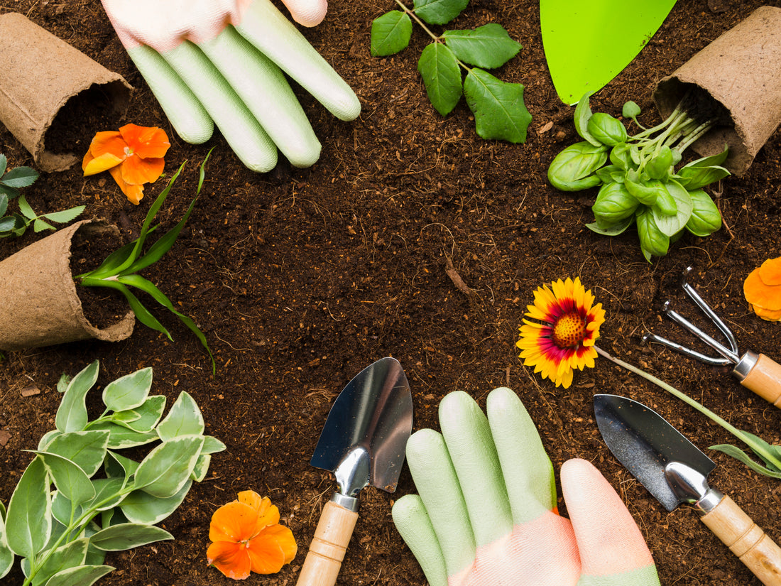 Nyd Skønheden i Naturen: En Guide til Haveplanter