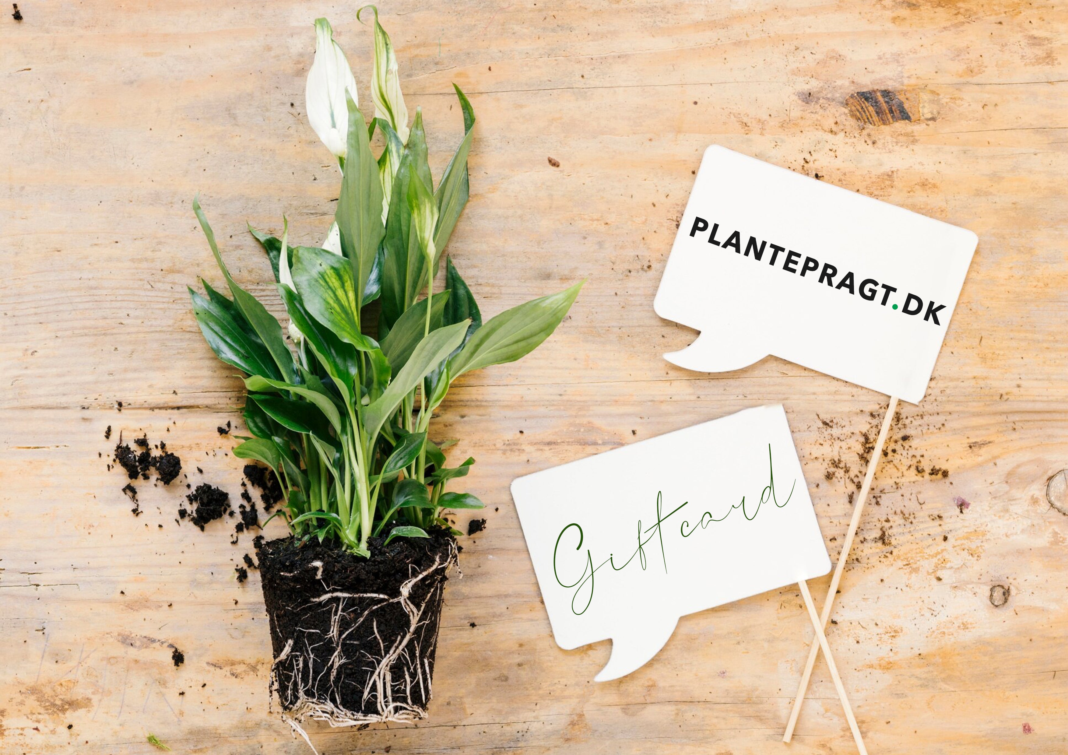 Plantepragt online gift card