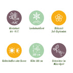 Hibiscus syriacus 'Tricolour' – 3 stk. løvfældende buske med blomster i pink, hvid og blå – Lav vedligeholdelse – Pot Ø17 cm – Højde 45 cm