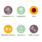 Terrasseplante – Japansk Løn – Acer palmatum 'Jerre Schwartz' – Mørkerød – 2 Planter – Løvfældende – Potte Ø19 cm Højde 70 cm