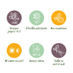 Hækplante – Prunus laurocerasus Novita – 8 Planter – 1 Løbende Meter – Stedsegrøn – Potte 9 cm – Højde 30-35 cm