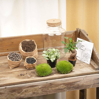 Plante Terrarium Little Milky med LED Lys - 25 cm Høj