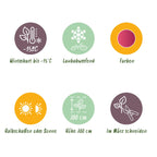 Terrasseplante – Japansk Løn 'Acer palmatum Phoenix' – Pink – 1 Plante – Løvfældende – Pot Ø19 cm – Højde 70 cm