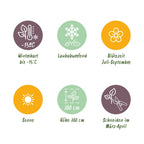 Fjärilsbuske - Buddleja davidii Vit överflöd - Blommor vita - 1 planta - Lövfällande - Fjärilslockande - Kruka 17 cm Höjd 25 cm