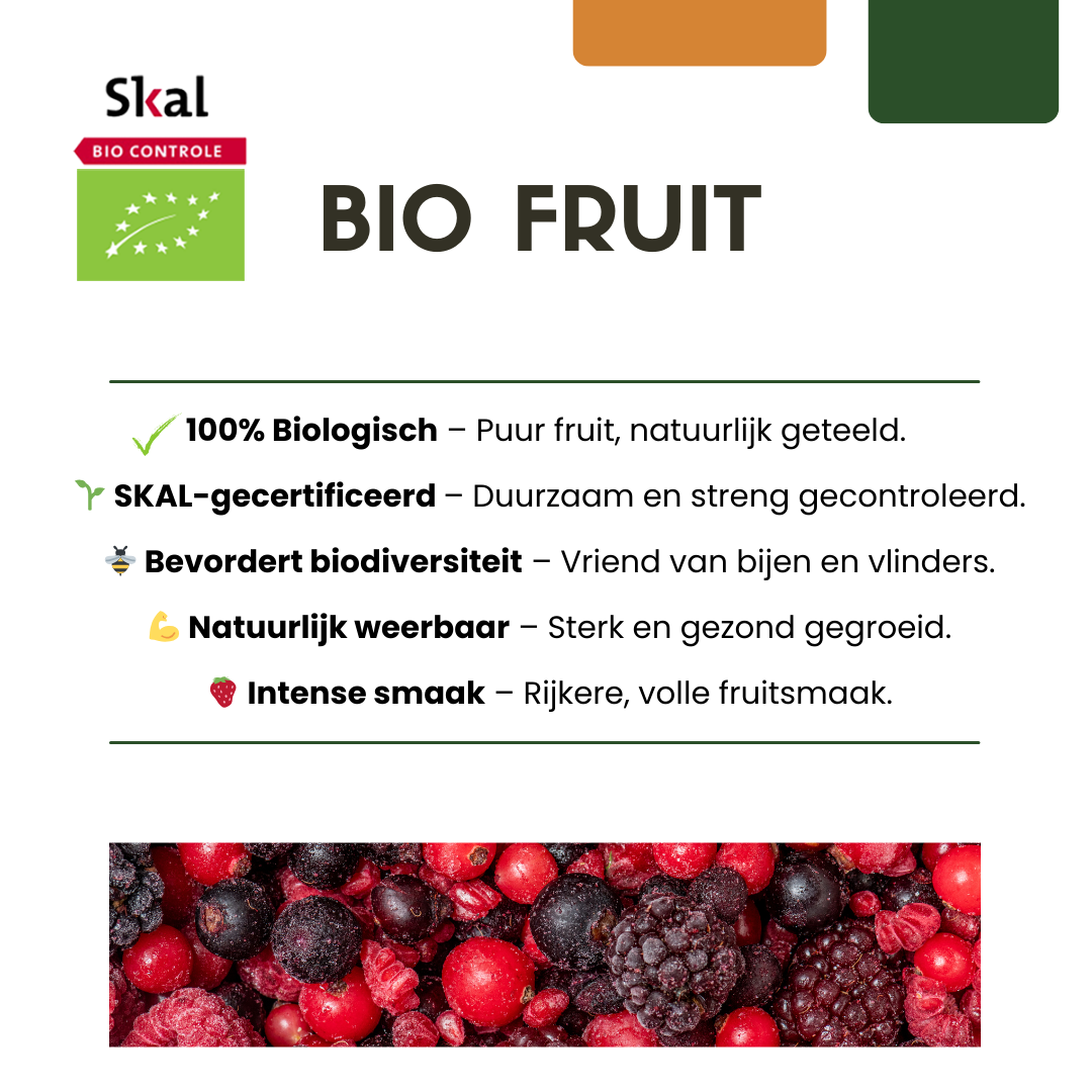 Summer Fruits" BIO Frugtplanter Mix Sæt med 4 forskellige typer