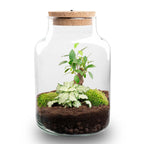 Plante Terrarium Little Milky med LED Lys - 25 cm Høj