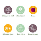 Terrasseplante – Japansk Løn 'Acer palmatum Skeeters Broom' – Lilla – 2 Planter – Løvfældende – Pot Ø19 cm – Højde 70 cm