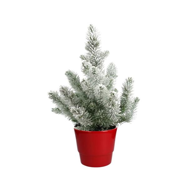 Pinus Pinea 'Silver Crest' with Snow - Ø17cm - ↕50cm + Basic Pot Red - D18x15cm