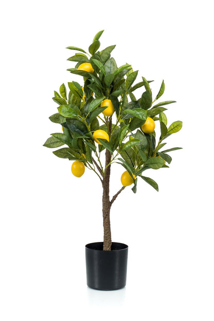 Kunstplanter - Citrus Limonia - citrontræ - 75 cm