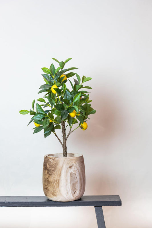 Kunstplanter - Citrus Limonia - citrontræ - 75 cm