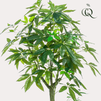 Kunstig plante - Pachira Aquatica - Pengetræ - 150 cm