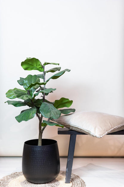 Kunstplante - Ficus Lyrata - Tobaksplante - 100 cm