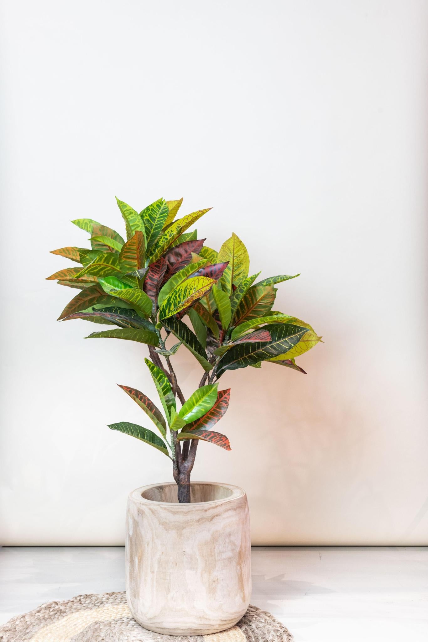 Konstgjord växt - Croton Codiaeum - Wonderbush - 100 cm