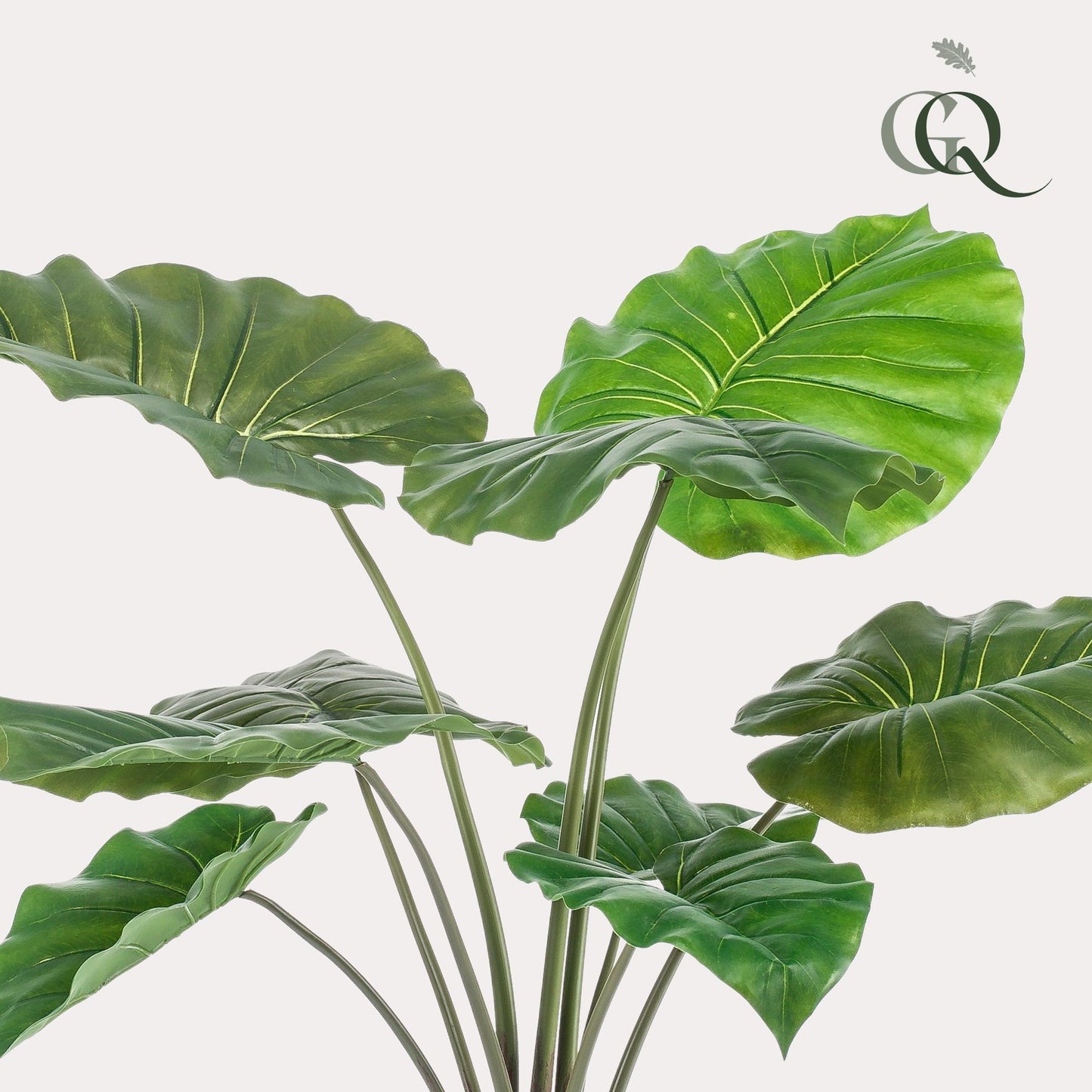 Kunstig plante - Alocasia - Elefantøre - 70 cm