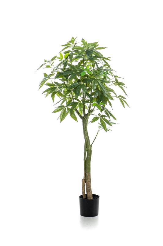 Kunstig plante - Pachira Aquatica - Pengetræ - 150 cm