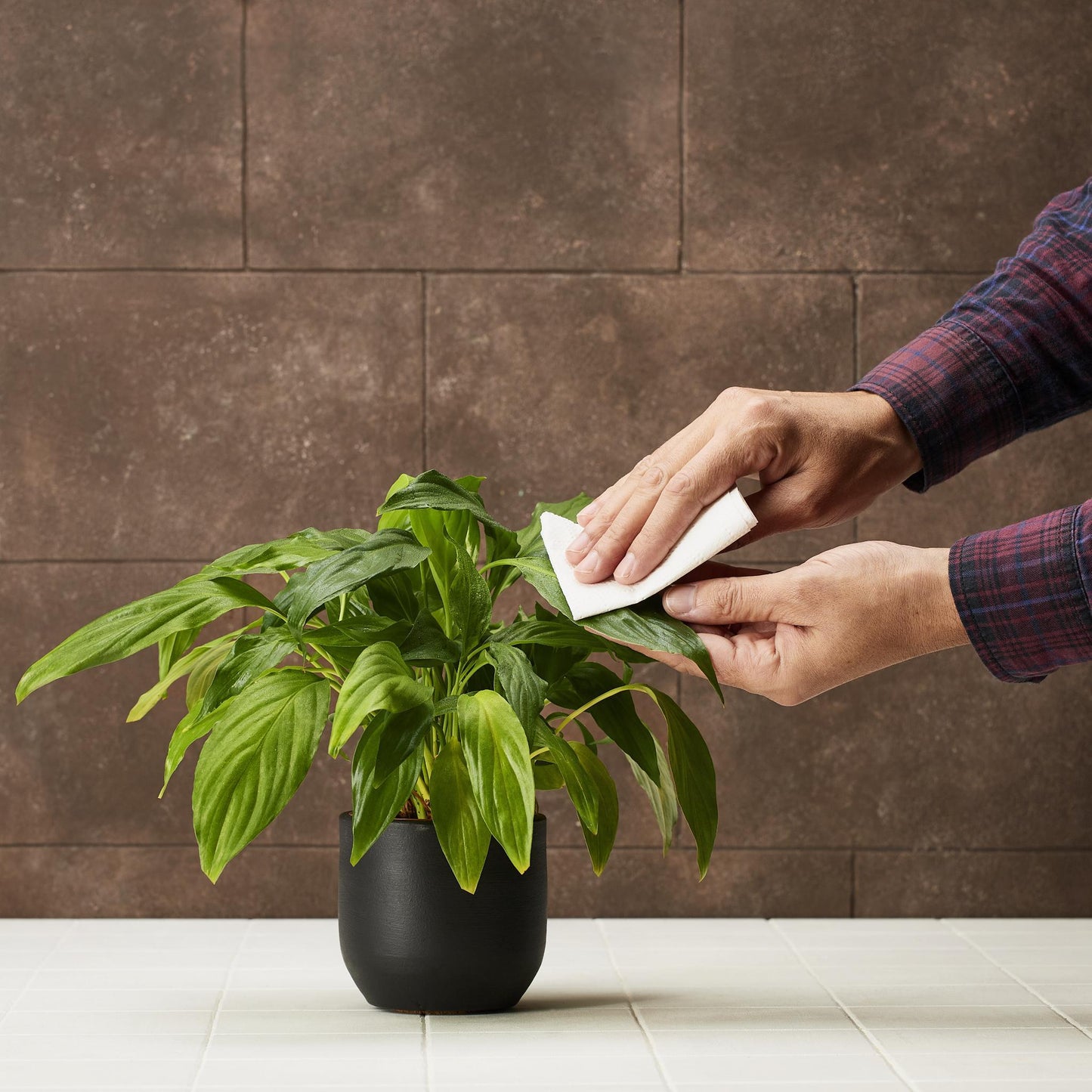 Plantebeskyttelse - 200 ml - LØDERENSER | NATURLIG SÆBE TIL PLANTER