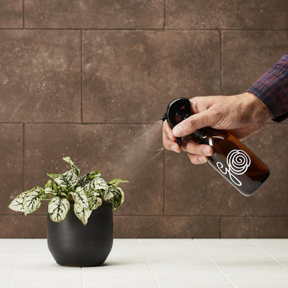 Plantepleje - 200 ml - Plant mister | Glasflaske"